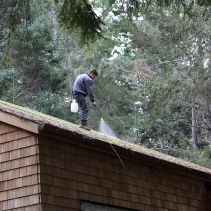 Roof Cleaning