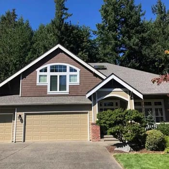Windows & Siding