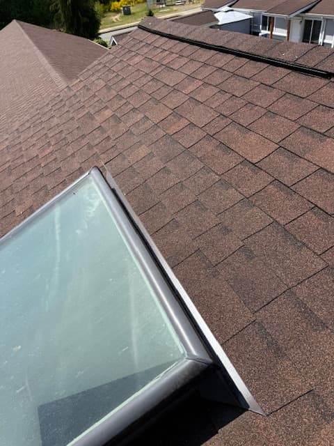 Complete skylight restoration