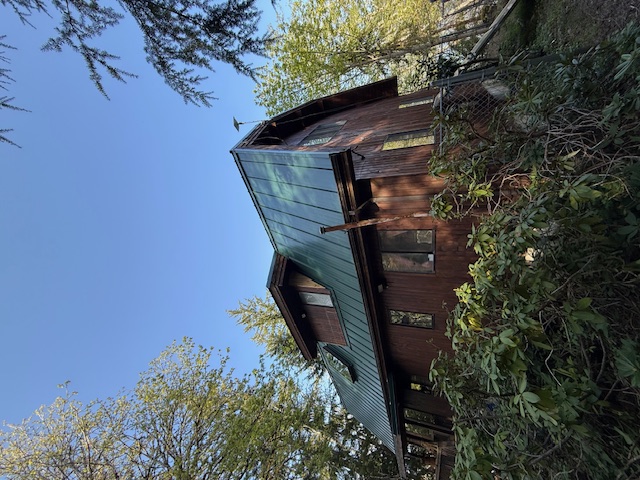 Professional roof cleaning in progress