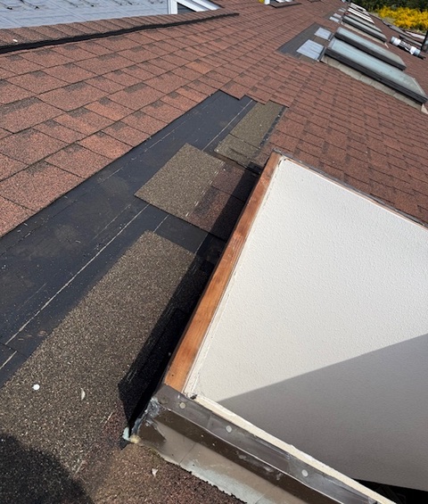 Skylight frame restoration
