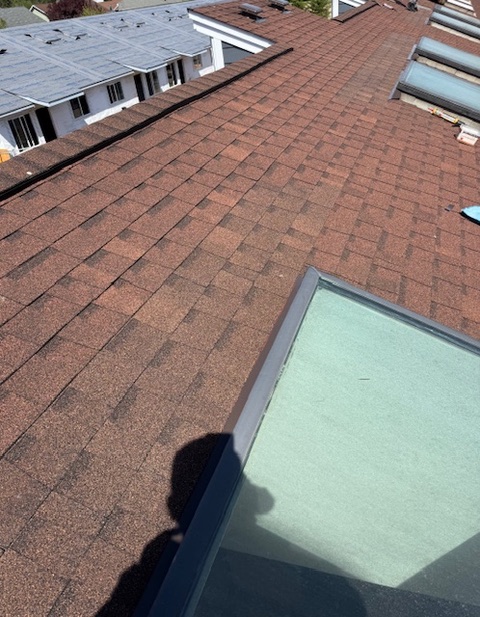 Skylight repair before and after